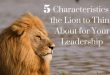Leadership Qualities to Learn From a Lion